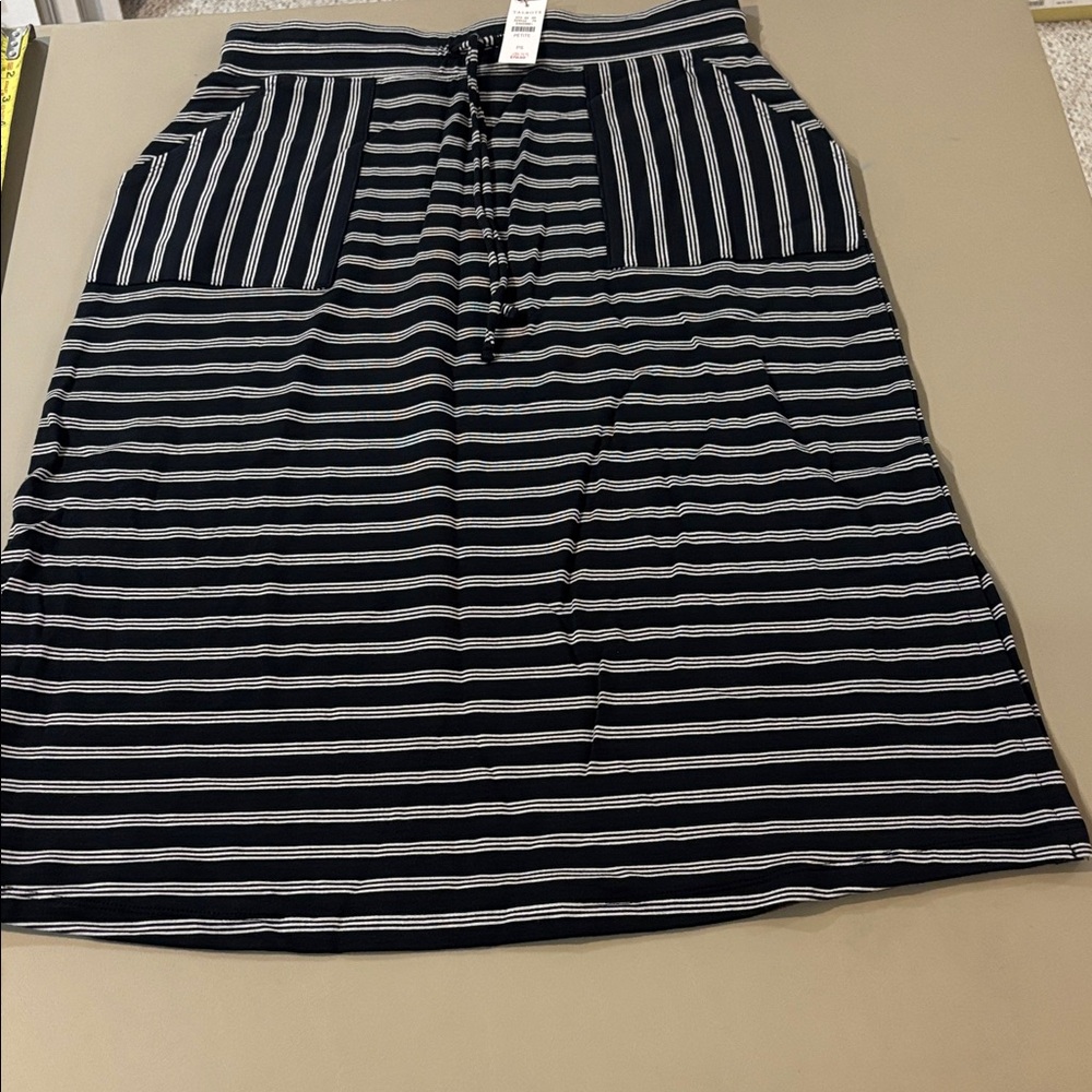 Talbots Blue and White Striped A-Line Skirt NWT Size SP